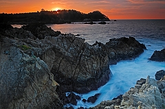  Point Lobos IV