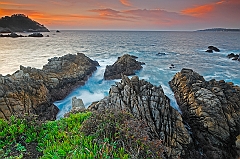  Point Lobos I
