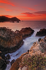  Point Lobos III