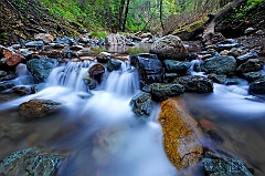  Sonoma Creek
