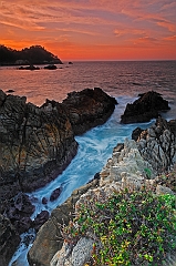  Point Lobos II