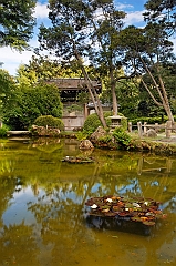  Samurai Garden