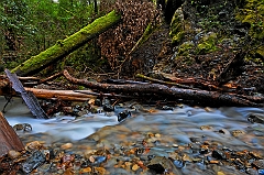  Redwood Creek III