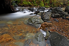  Redwood Creek IV