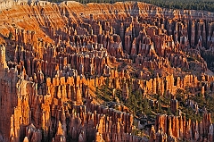  Bryce Canyon IV